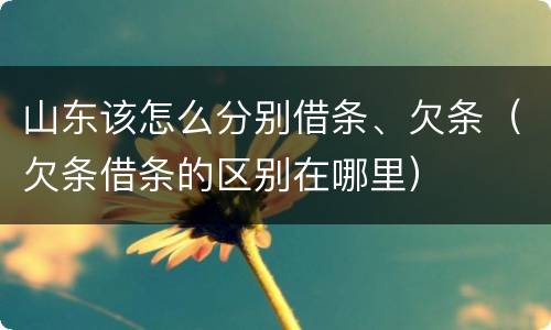 山东该怎么分别借条、欠条（欠条借条的区别在哪里）