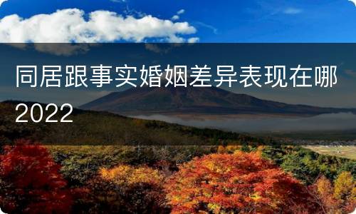 同居跟事实婚姻差异表现在哪2022