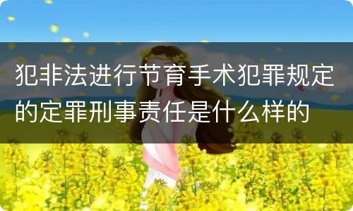 犯非法进行节育手术犯罪规定的定罪刑事责任是什么样的