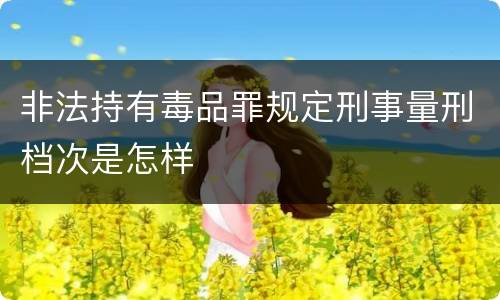 非法持有毒品罪规定刑事量刑档次是怎样