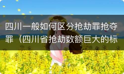 四川一般如何区分抢劫罪抢夺罪（四川省抢劫数额巨大的标准）