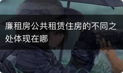 廉租房公共租赁住房的不同之处体现在哪