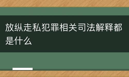 放纵走私犯罪相关司法解释都是什么