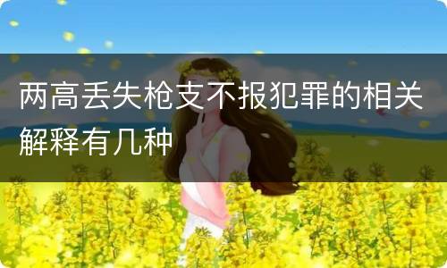 两高丢失枪支不报犯罪的相关解释有几种
