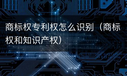 商标权专利权怎么识别（商标权和知识产权）
