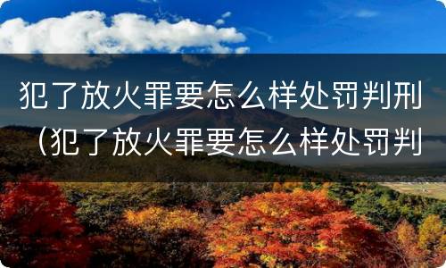 犯了放火罪要怎么样处罚判刑（犯了放火罪要怎么样处罚判刑多久）