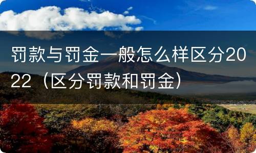 罚款与罚金一般怎么样区分2022（区分罚款和罚金）