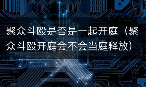 聚众斗殴是否是一起开庭（聚众斗殴开庭会不会当庭释放）