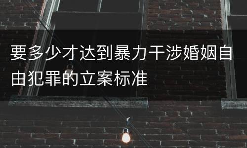 要多少才达到暴力干涉婚姻自由犯罪的立案标准