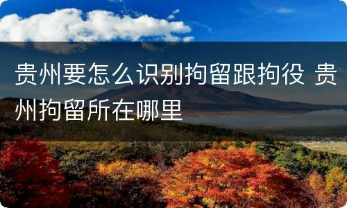 贵州要怎么识别拘留跟拘役 贵州拘留所在哪里