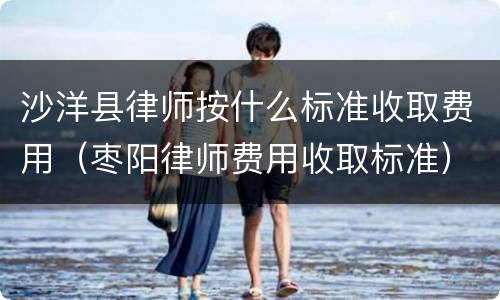 沙洋县律师按什么标准收取费用（枣阳律师费用收取标准）