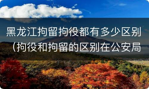 黑龙江拘留拘役都有多少区别（拘役和拘留的区别在公安局）