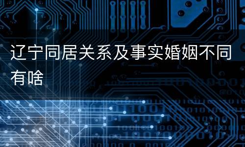 辽宁同居关系及事实婚姻不同有啥