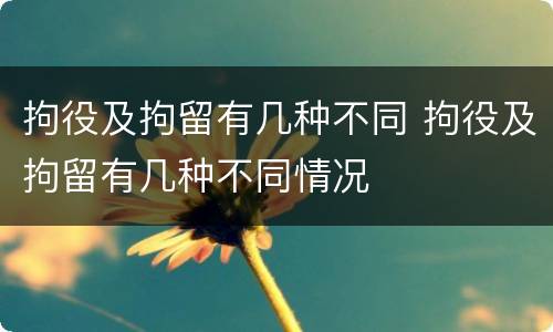 拘役及拘留有几种不同 拘役及拘留有几种不同情况