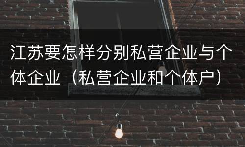 江苏要怎样分别私营企业与个体企业（私营企业和个体户）