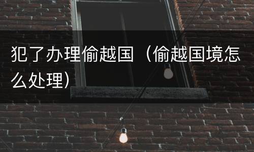 犯了办理偷越国（偷越国境怎么处理）