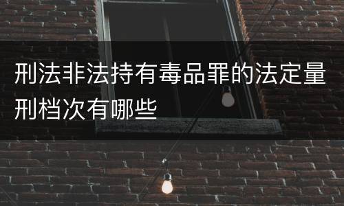 刑法非法持有毒品罪的法定量刑档次有哪些