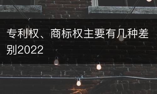 专利权、商标权主要有几种差别2022