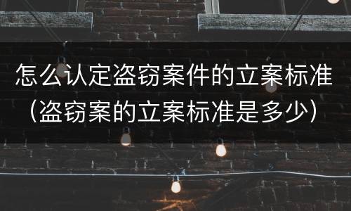 怎么认定盗窃案件的立案标准（盗窃案的立案标准是多少）