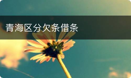青海区分欠条借条