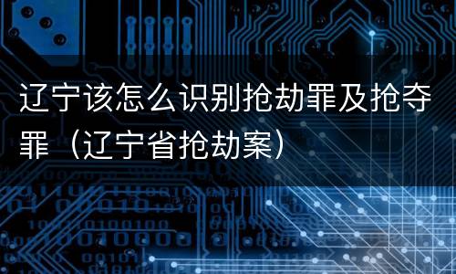 辽宁该怎么识别抢劫罪及抢夺罪（辽宁省抢劫案）