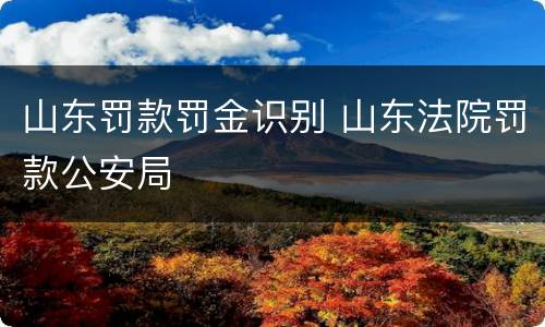 山东罚款罚金识别 山东法院罚款公安局