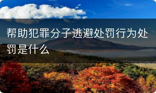 帮助犯罪分子逃避处罚行为处罚是什么