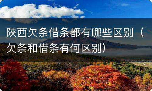 陕西欠条借条都有哪些区别（欠条和借条有何区别）