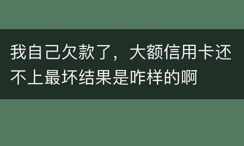 我自己欠款了，大额信用卡还不上最坏结果是咋样的啊