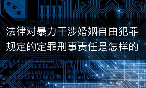 法律对暴力干涉婚姻自由犯罪规定的定罪刑事责任是怎样的