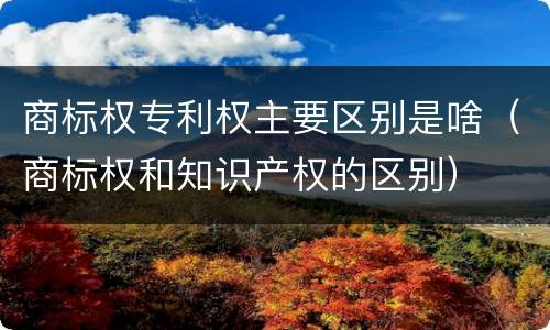 商标权专利权主要区别是啥（商标权和知识产权的区别）