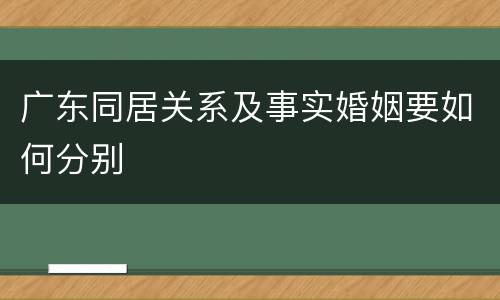 广东同居关系及事实婚姻要如何分别
