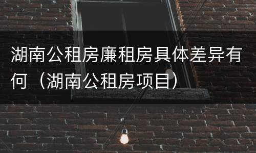 湖南公租房廉租房具体差异有何（湖南公租房项目）