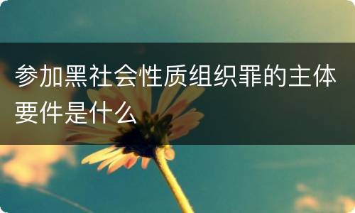 参加黑社会性质组织罪的主体要件是什么