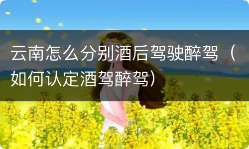 云南怎么分别酒后驾驶醉驾（如何认定酒驾醉驾）