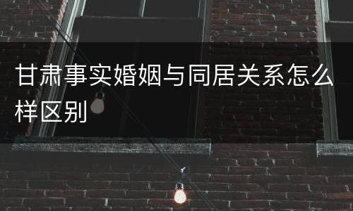 甘肃事实婚姻与同居关系怎么样区别