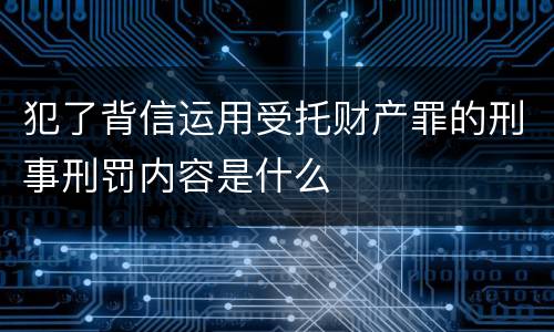 犯了背信运用受托财产罪的刑事刑罚内容是什么
