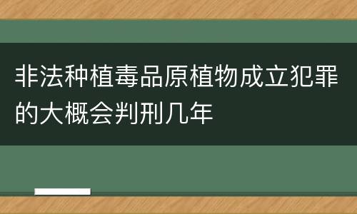 非法种植毒品原植物成立犯罪的大概会判刑几年
