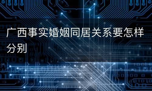 广西事实婚姻同居关系要怎样分别