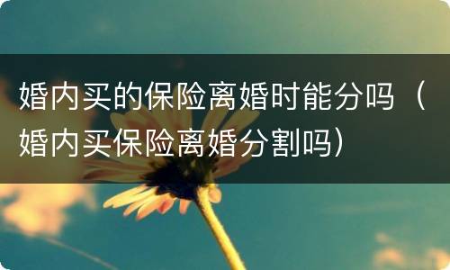 婚内买的保险离婚时能分吗（婚内买保险离婚分割吗）