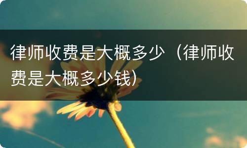 律师收费是大概多少（律师收费是大概多少钱）