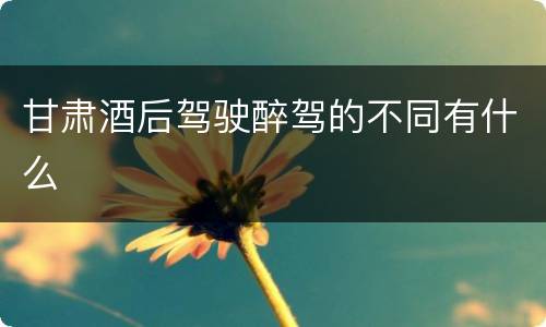 甘肃酒后驾驶醉驾的不同有什么