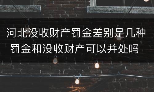 河北没收财产罚金差别是几种 罚金和没收财产可以并处吗