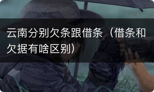 云南分别欠条跟借条（借条和欠据有啥区别）