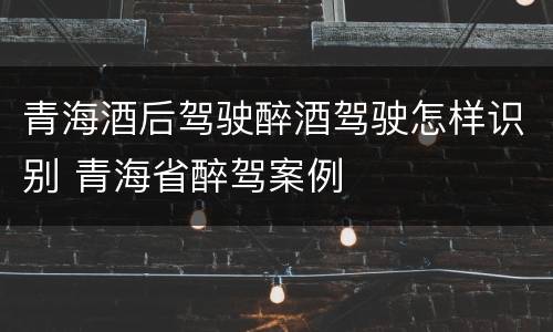 青海酒后驾驶醉酒驾驶怎样识别 青海省醉驾案例