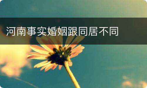 河南事实婚姻跟同居不同