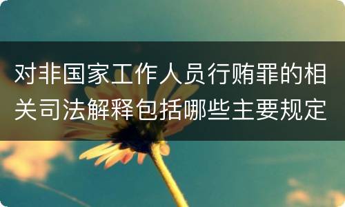 对非国家工作人员行贿罪的相关司法解释包括哪些主要规定