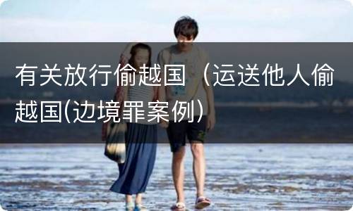 有关放行偷越国（运送他人偷越国(边境罪案例）