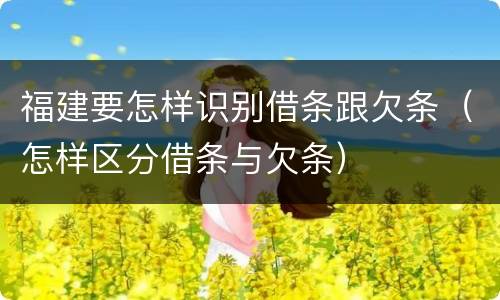 福建要怎样识别借条跟欠条（怎样区分借条与欠条）