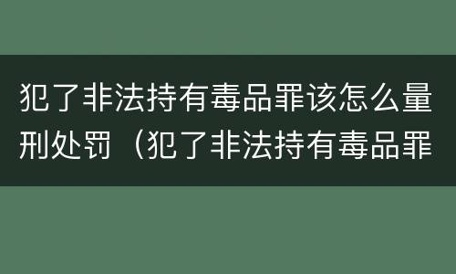 犯了非法持有毒品罪该怎么量刑处罚（犯了非法持有毒品罪该怎么量刑处罚）